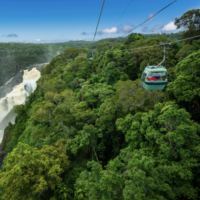 Skyrail Rainforest Cableway (Honeymoon)