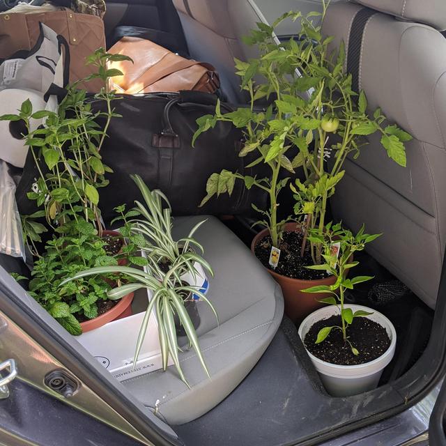 Houseplant Fund