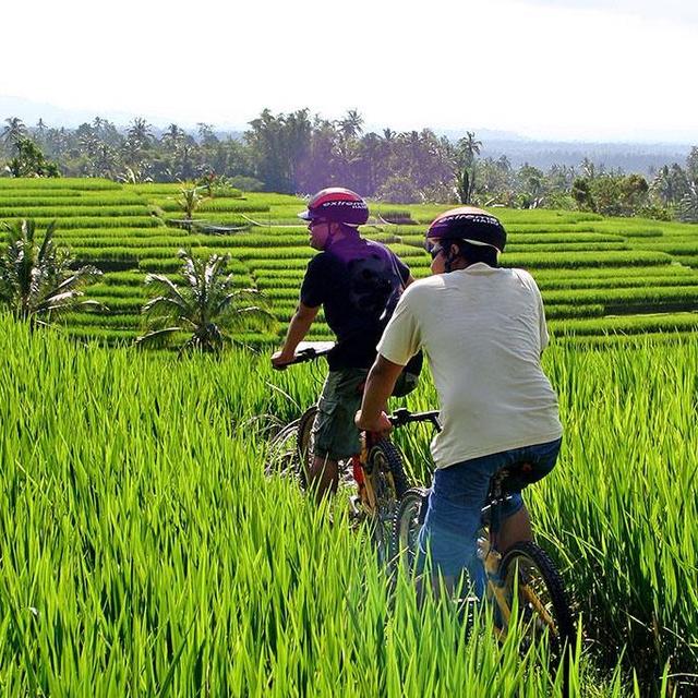 Honeymoon: Bicycle Tour