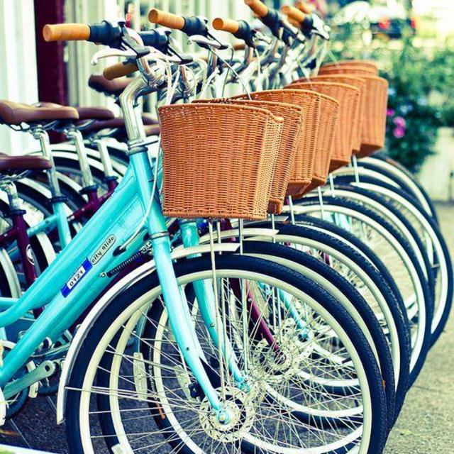 Bike Rentals for Exploring