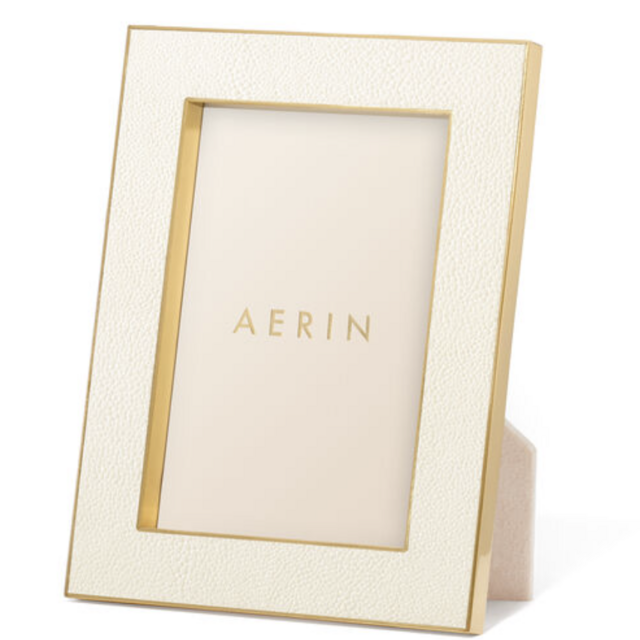 Aerin Classic Shagreen 4x6 Frame