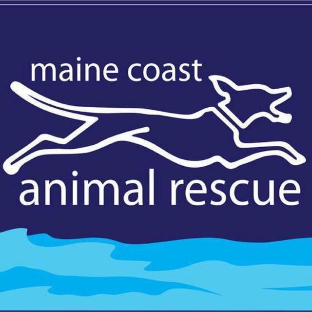 Venmo - Maine Coast Animal Rescue
