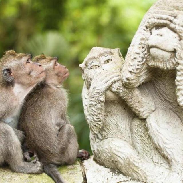 Sacred Monkey Forest Sanctuary