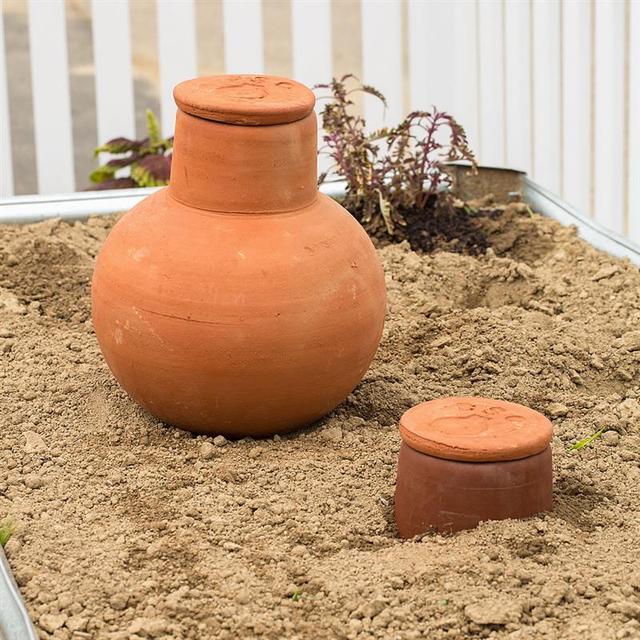 OLLA Watering Pot