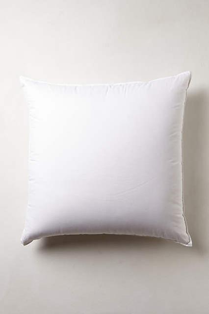 Down Alternative Euro Sham Insert