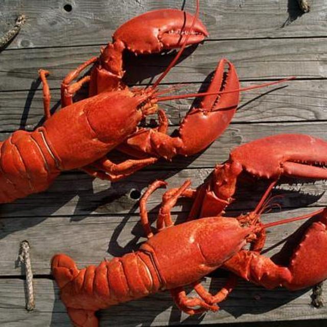 Lobstah Dinnah