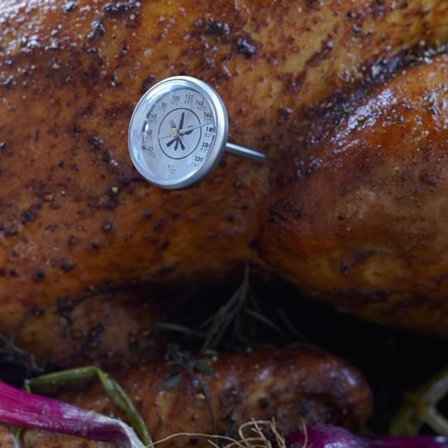 Williams-Sonoma Open Kitchen Instant Read Dial Thermometer