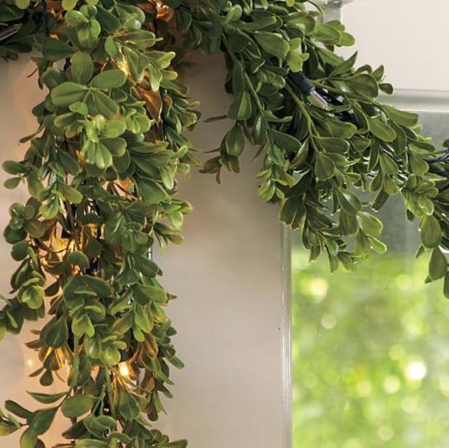 Lit LED Boxwood Garland, 60"