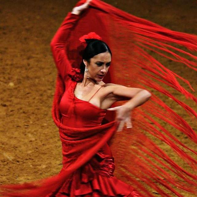 Flamenco Show & Dinner