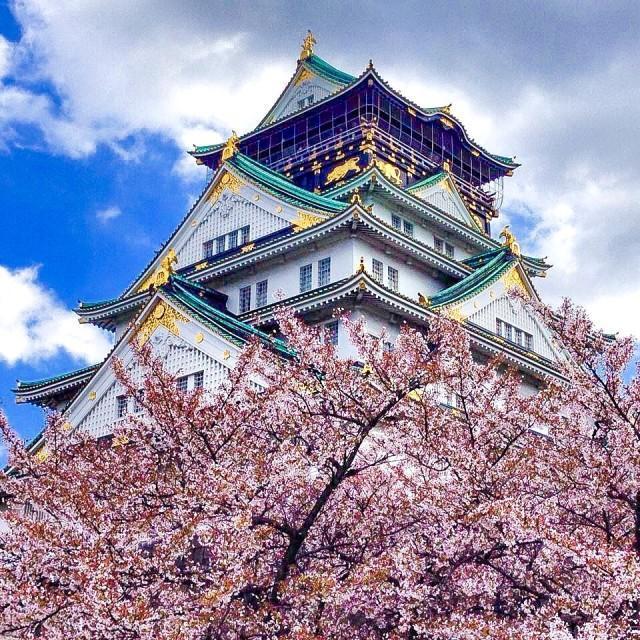 Japan Honeymoon Fund