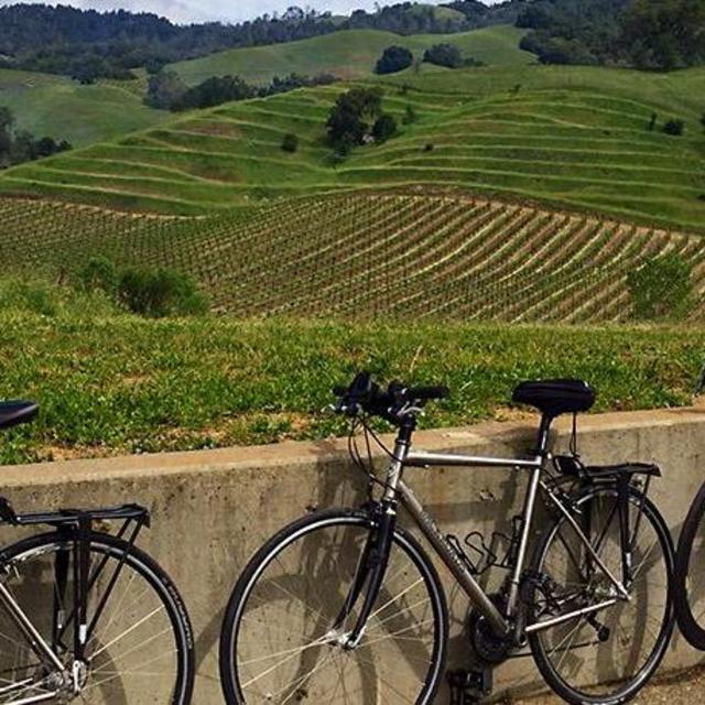 Bike Rentals Through Wine Country