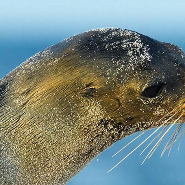 Stay at Finch Bay in the Galapagos