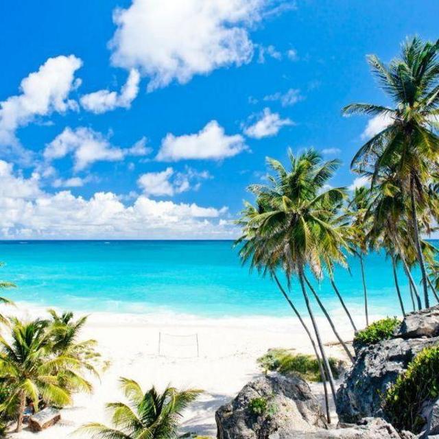 Our Barbados Honeymoon Fund