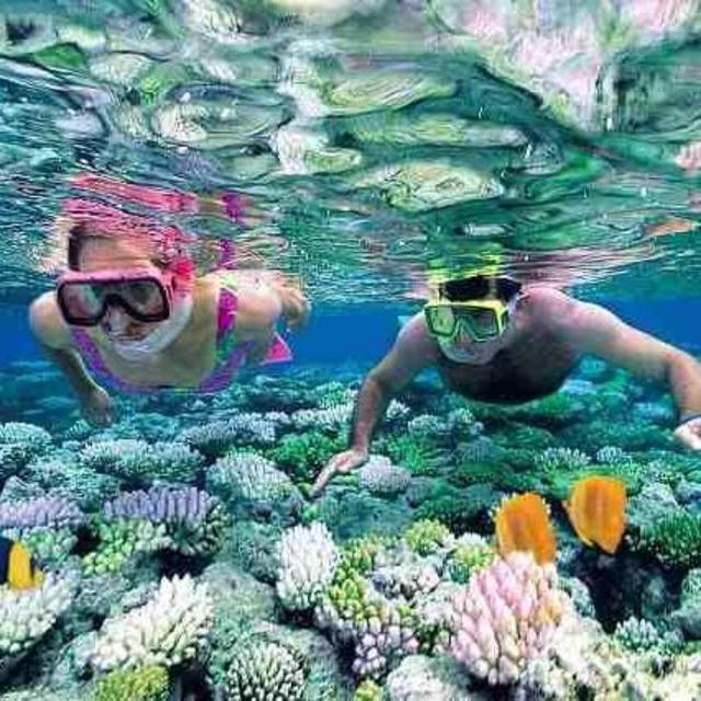 Snorkeling For Two in Palawan