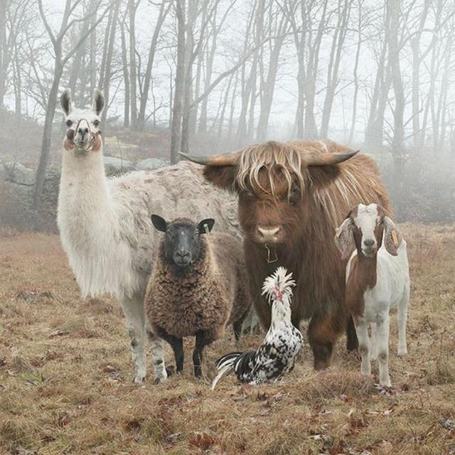 Our Future Family Fund