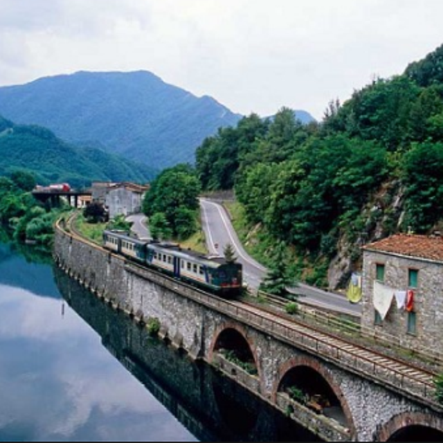 Trains, Ferries and Boat Buses