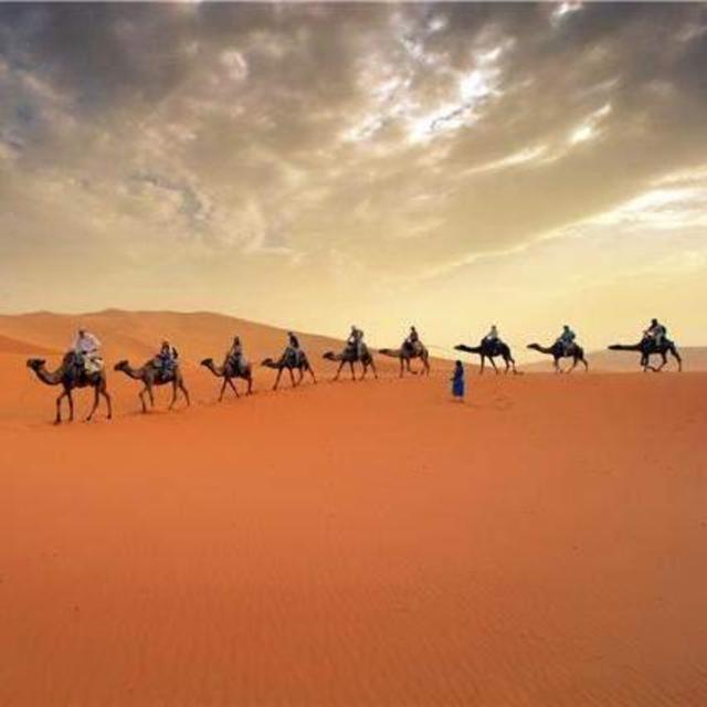Camel trek