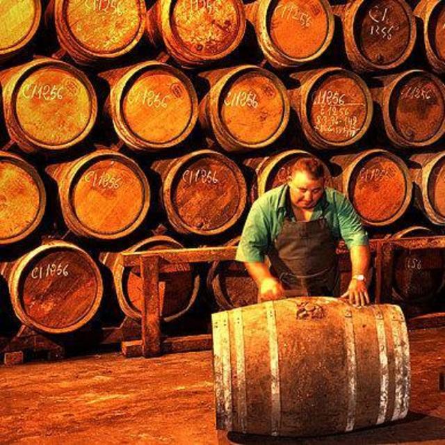 Spanish wine