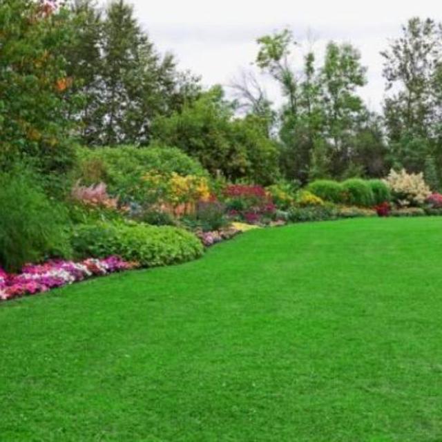 Landscaping