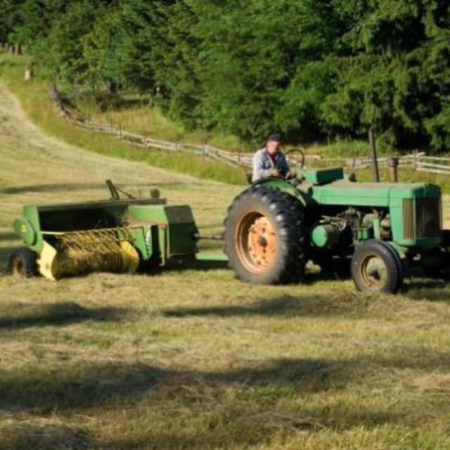 Tractors, Lawnmowers, & Leafblowers Oh My!