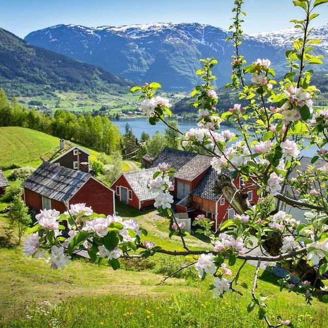 Honeymoon Fund - Norway in Spring!