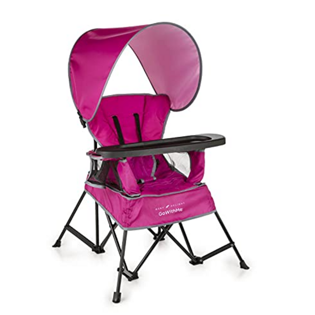 Baby Delight Go with Me Chair