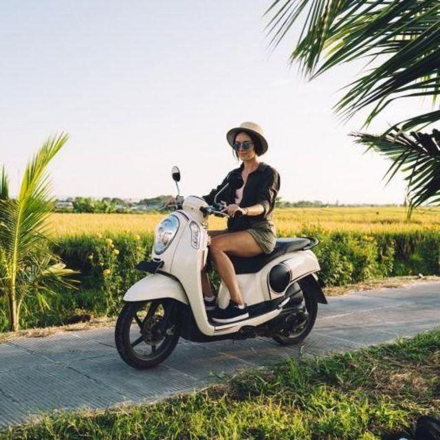 Scooter Rental