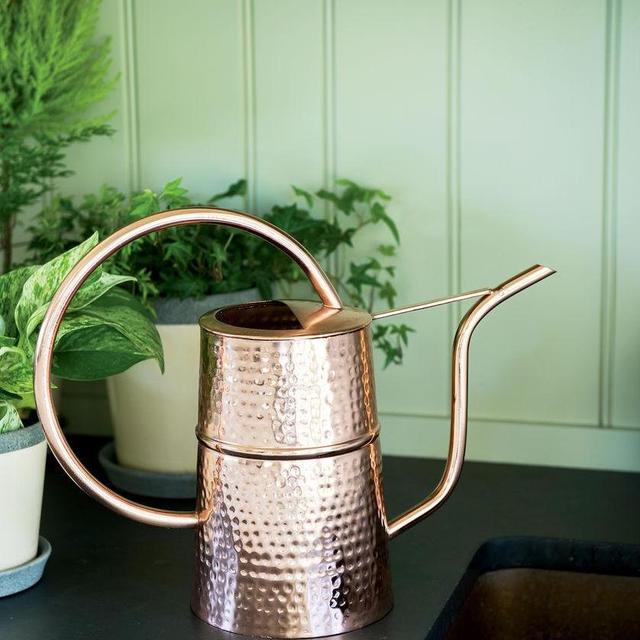 Copper Indoor Watering Can