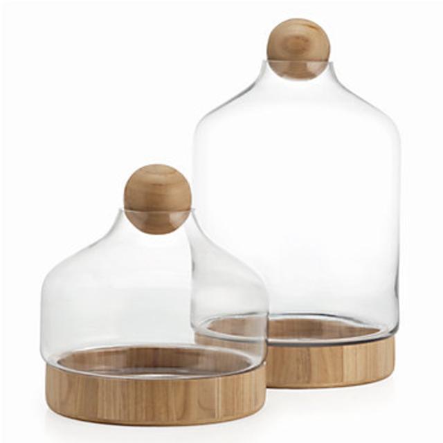 Glass Terrarium
