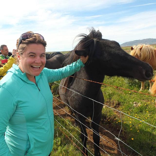 Liz Wants To Hug Koalas