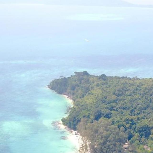 Travel to Bamboo Island