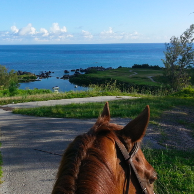 Bermuda: Scenic Coast Trail Ride