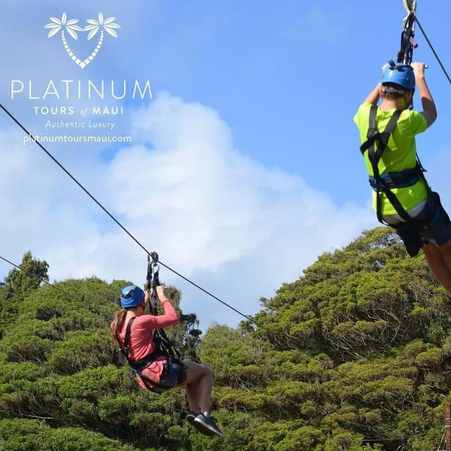 Maui Zipline