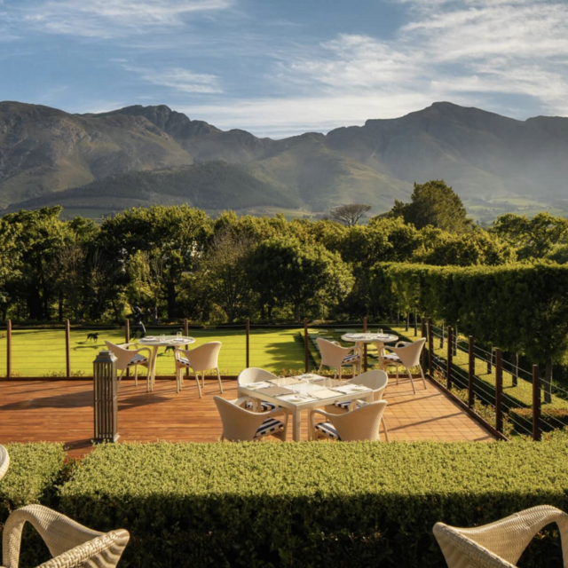 Lunch on the vineyard in South Africa