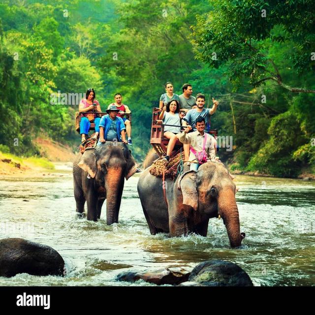 Riding Elephants in Thailand