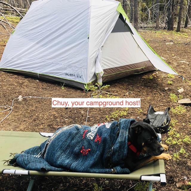 Camping by RV, Van or Tent