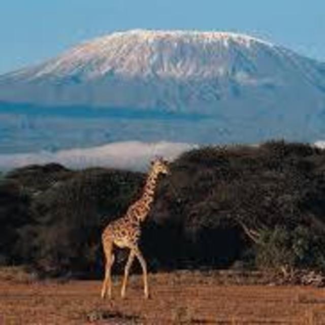 Trek to Mt. Kilimanjaro