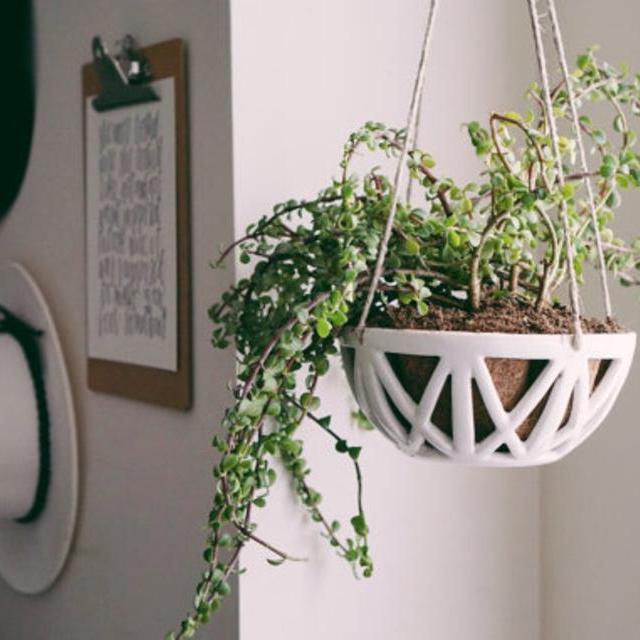 READY TO SHIP - xx Hanging Planter