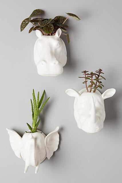 Sahel Wall Planter