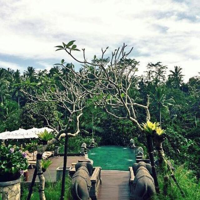 Jungle Accommodation in Ubud