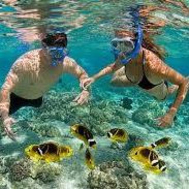 Snorkeling