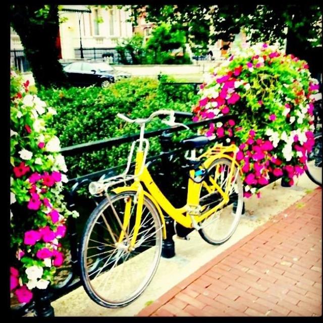 Bike Riding