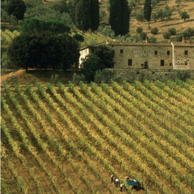 Wine Tasting in Italy