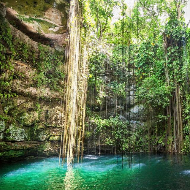 Xenotes in Riviera Maya, Mexico