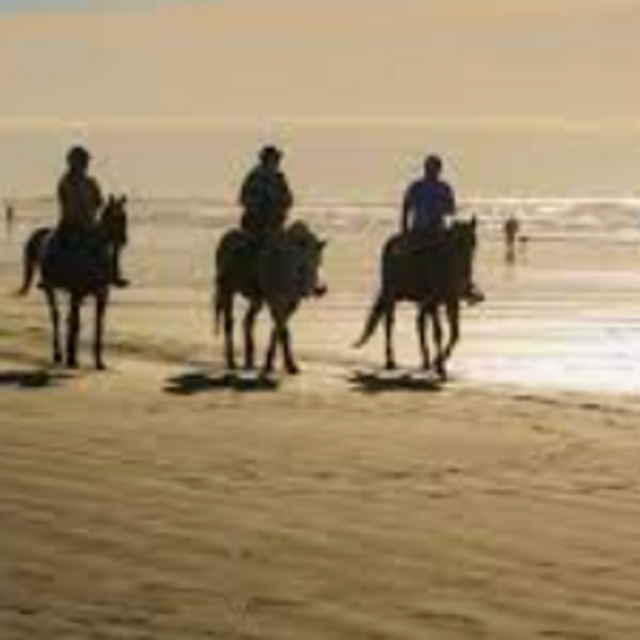 Horseback Riding in Mozambique
