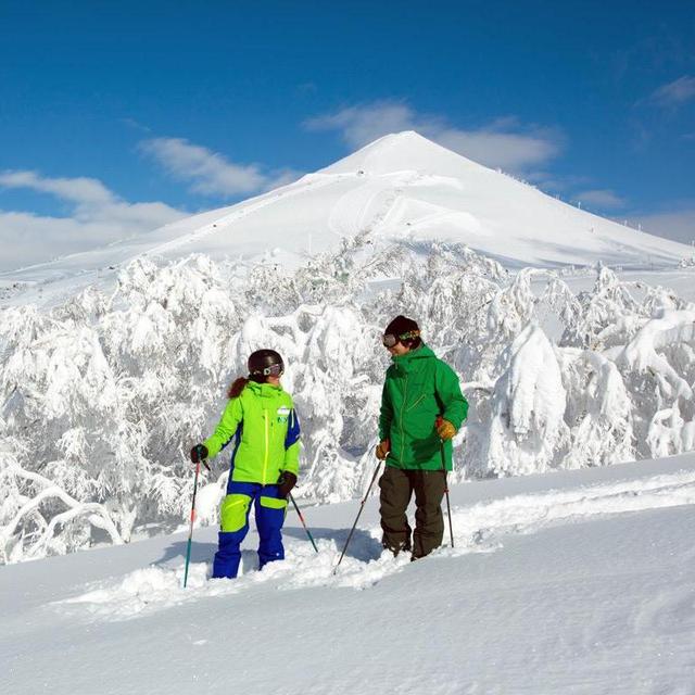 Lift Tickets in Niseko