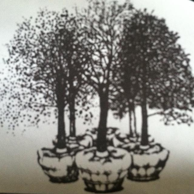 FOLIAGE FARM                 Nursery Center
