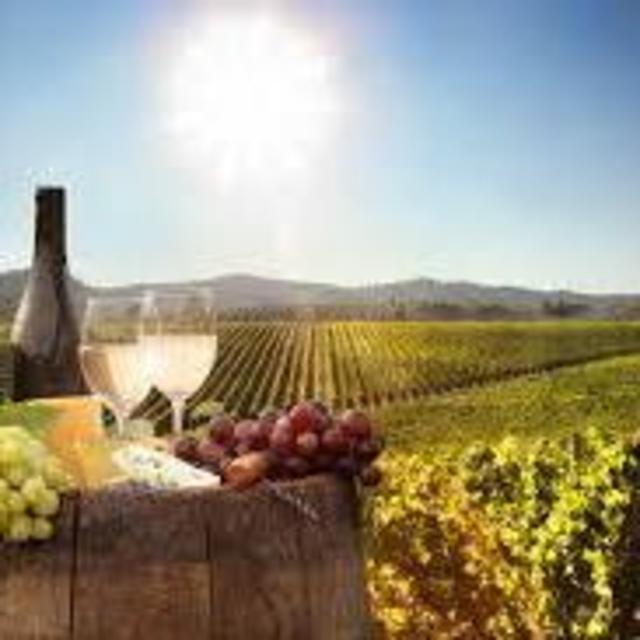 Stellenbosch Wine Tour