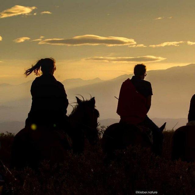 Sunset Horseback Riding and Dinner in Mendoza