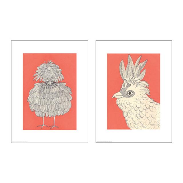 TVILLING Poster, set of 2, hens
